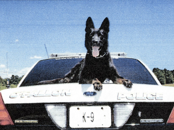 K9 Titan