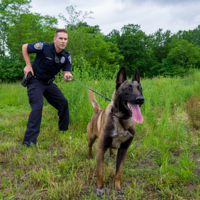 K9 Training